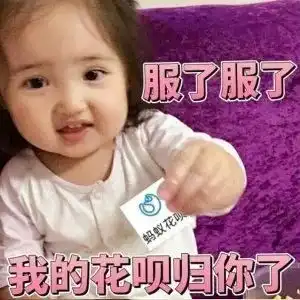  收图啦75张猪年壁纸,开启元气满满的一年