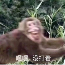  python3函数