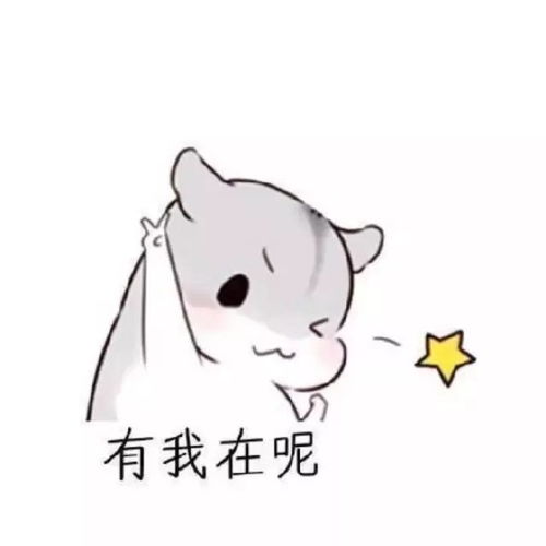 微信头像用什么图像最好