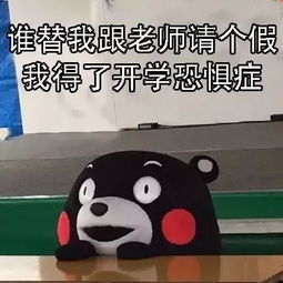 集合了群里开会表情包