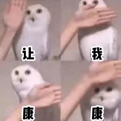  聚焦通知今晚开始,全市大猎虎看看都在什么地方