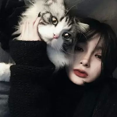  撸猫头像