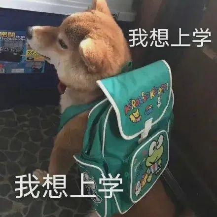  快看2024广东学考生比例曝光