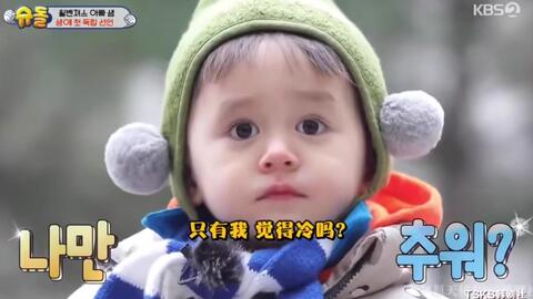  本特利的表情动图能有多可爱人类幼崽太可爱了