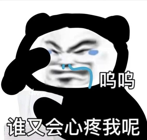  搞笑表情包来啦