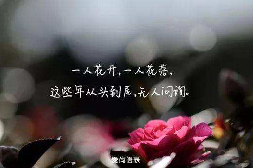  早安心语说说句子微信朋友圈早安心语