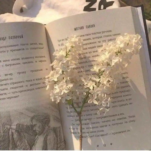  分享一下最近喜欢的文案