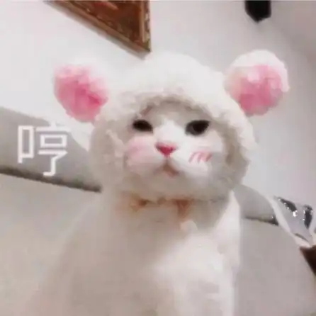  声动回忆藏在你心中,故事住在歌声里