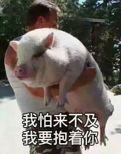  迫不及待表情包迫不及待微信表情包迫不及待qq表情包发表情fabiaoqing.com
