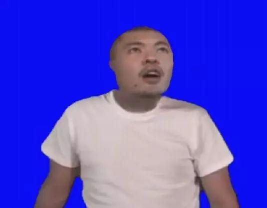  b站鬼畜区新宠儿,mur猫表情太魔性,把观众都看呆了