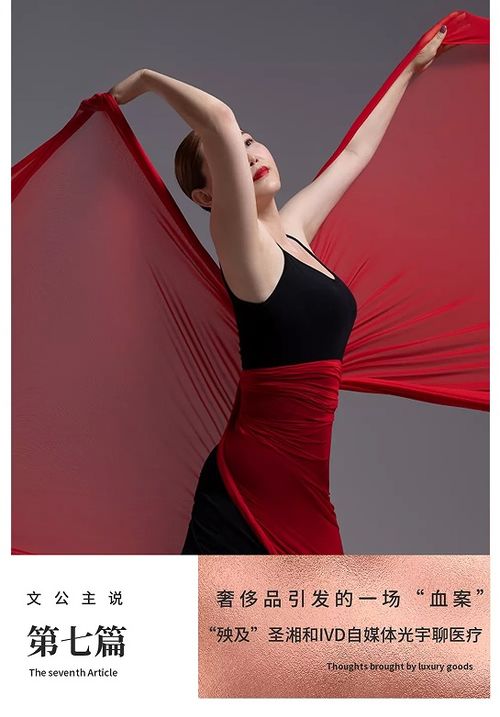  文公主说系列奢侈品引发的一场血案,殃及圣湘和光宇包包