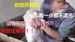  华农兄弟这竹鼠真漂亮