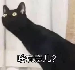  已有人被抓以后去香港,这些东西不能随便带还要注意这些假大牌