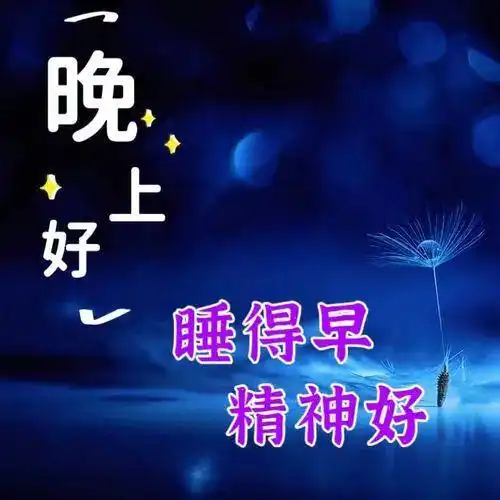  晚上好图片,晚安问候祝福语,晚上好问候表情包