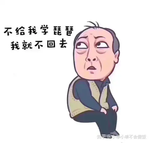  你们有没有关于民乐的表情包啊,分享分享吧最好是琵琶二胡的,谢谢你们了