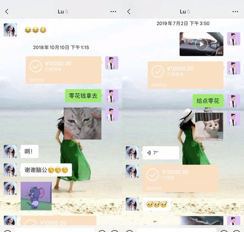  反转来了2位高人帮霍尊怒锤陈露,信息量大,细思极恐