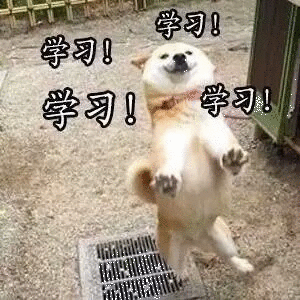  做好这几件事,让你大学生活收获更多上