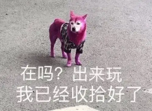 找工作好难表情包有出息