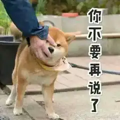我佛慈悲图片表情包柴犬