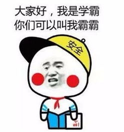  有谁有这个书包的表情包高清大图,急求