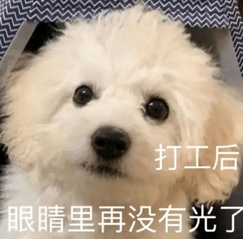  护肤oo