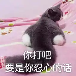 摸头表情包猫超萌
