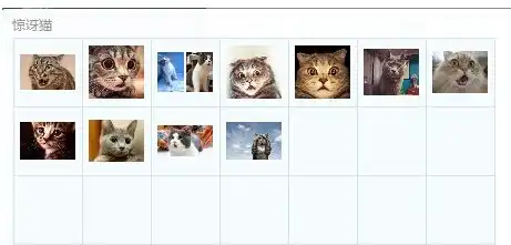 俄罗斯惊讶猫gif图片下载惊讶猫qq表情最新版腾牛下载