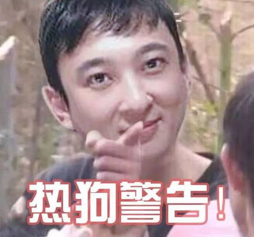  魅族16s黄章自曝最完美全面屏最受期待的两款新机外观定了