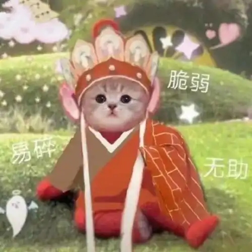  读研究生竟然还有鄙视链研究型和授课型硕士到底怎么选
