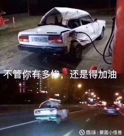  风停了,猪摔死了