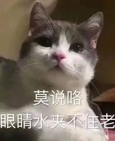  可爱表情包把你捧在手心