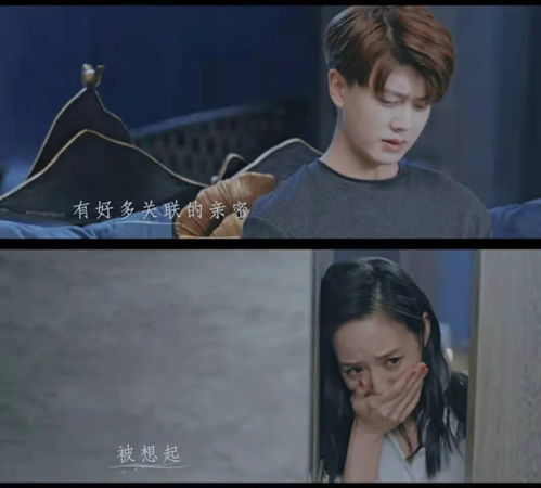  不说再见穆青昏迷,荣钰受伤,悲剧收场任嘉伦表情有深意