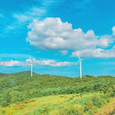  风景专用微信头像图片随风飘摇的芦苇属于秋天的风景