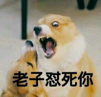  央视点评币游国际官网菲律宾