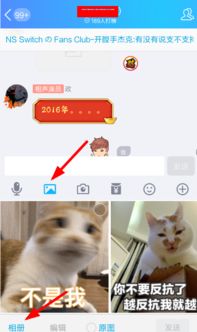 表示期待的表情包导入