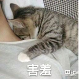 亲死你表情包巴掌