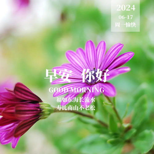  2024年6月17日早安图片,早上好漂亮图片祝福语感谢每一个清晨,彼此留下祝福