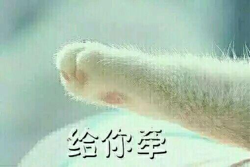  文集解读