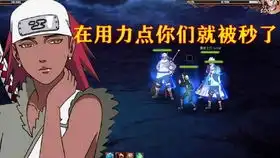  2月巅峰赛风vs风