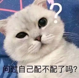  小妞终于找到了变身财大程潇的方法