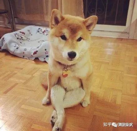 今年最漂亮的微信头像图