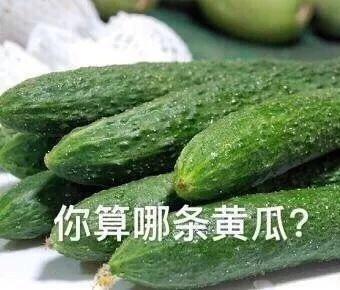  解气又可爱的怼人表情包
