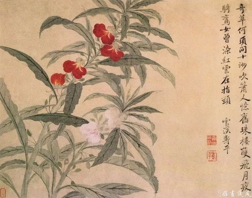  恽寿平235幅没骨花鸟画精品欣赏