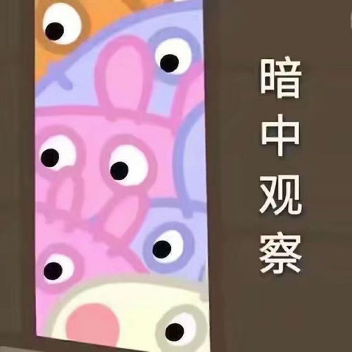  校学生会第一轮面试名单
