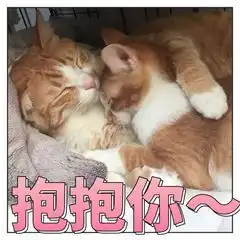  你用过哪些超级暖的安慰人的表情包