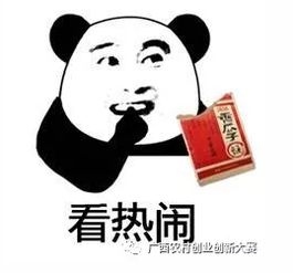  万众瞩目的第三届广西农村创业创新大赛决赛要来啦