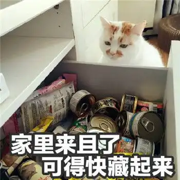  想念在喵星的楼楼小天使网红猫楼楼表情包