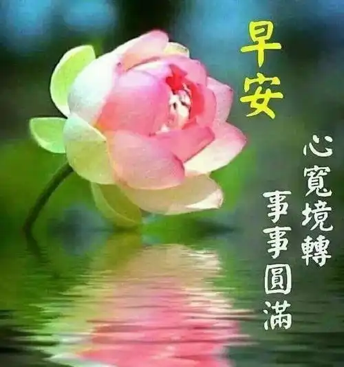  早上好温馨问候图片早上好早安动态表情包