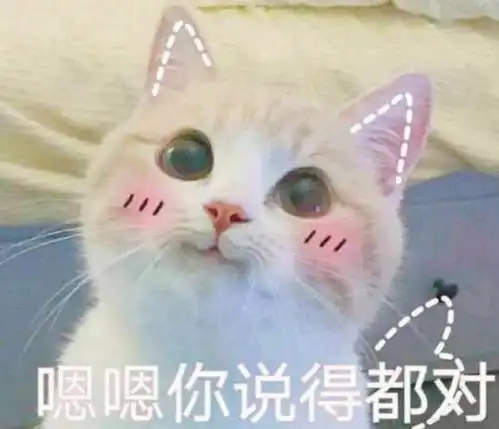  初秋必逛鞋铺学生党要买的鞋子都在这