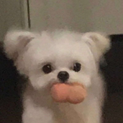  沫兮微信可爱小狗头像
